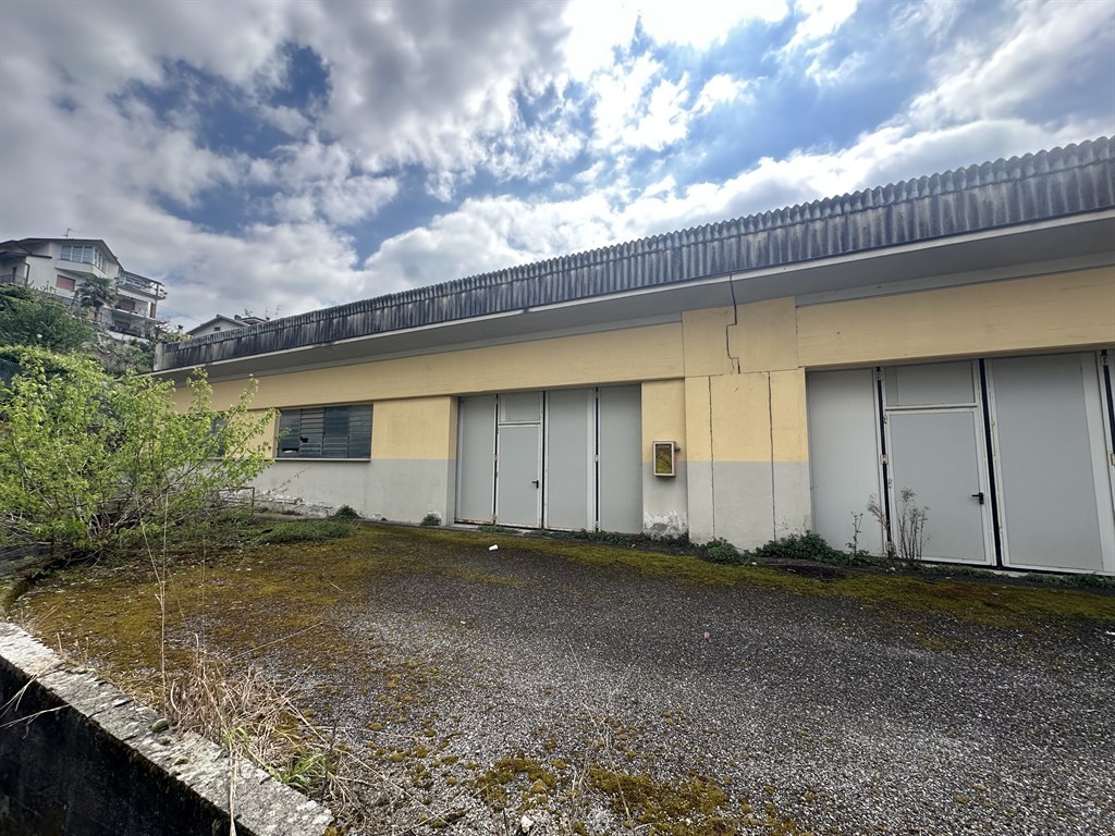 CAPANNONE DI C.A 1289 MQ A CAPRINO B.SCO